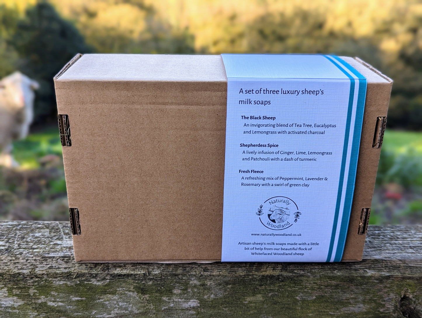 The Invigorating Collection - Three Soap Gift Set