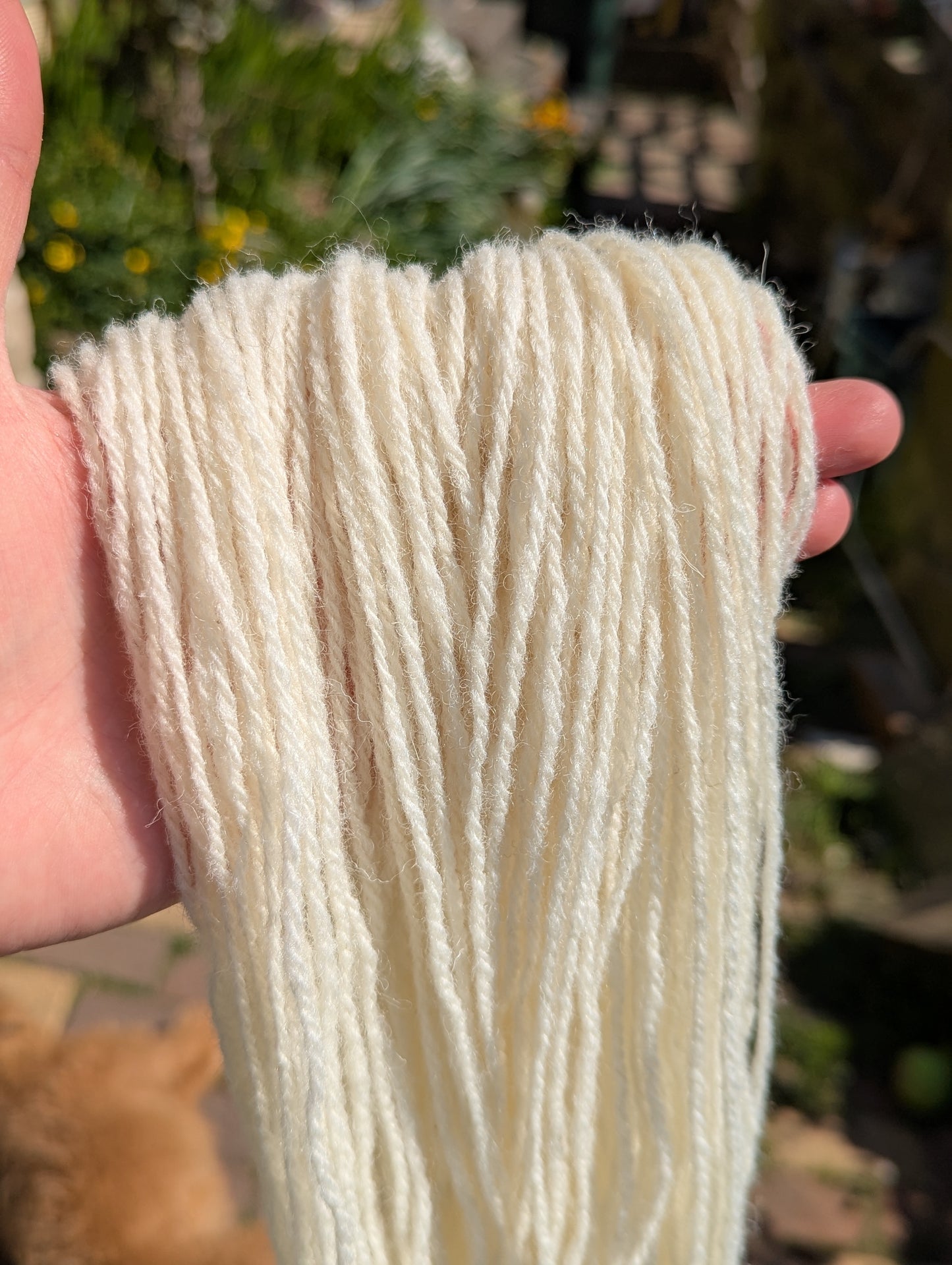 Whitefaced Woodland Wool Yarn