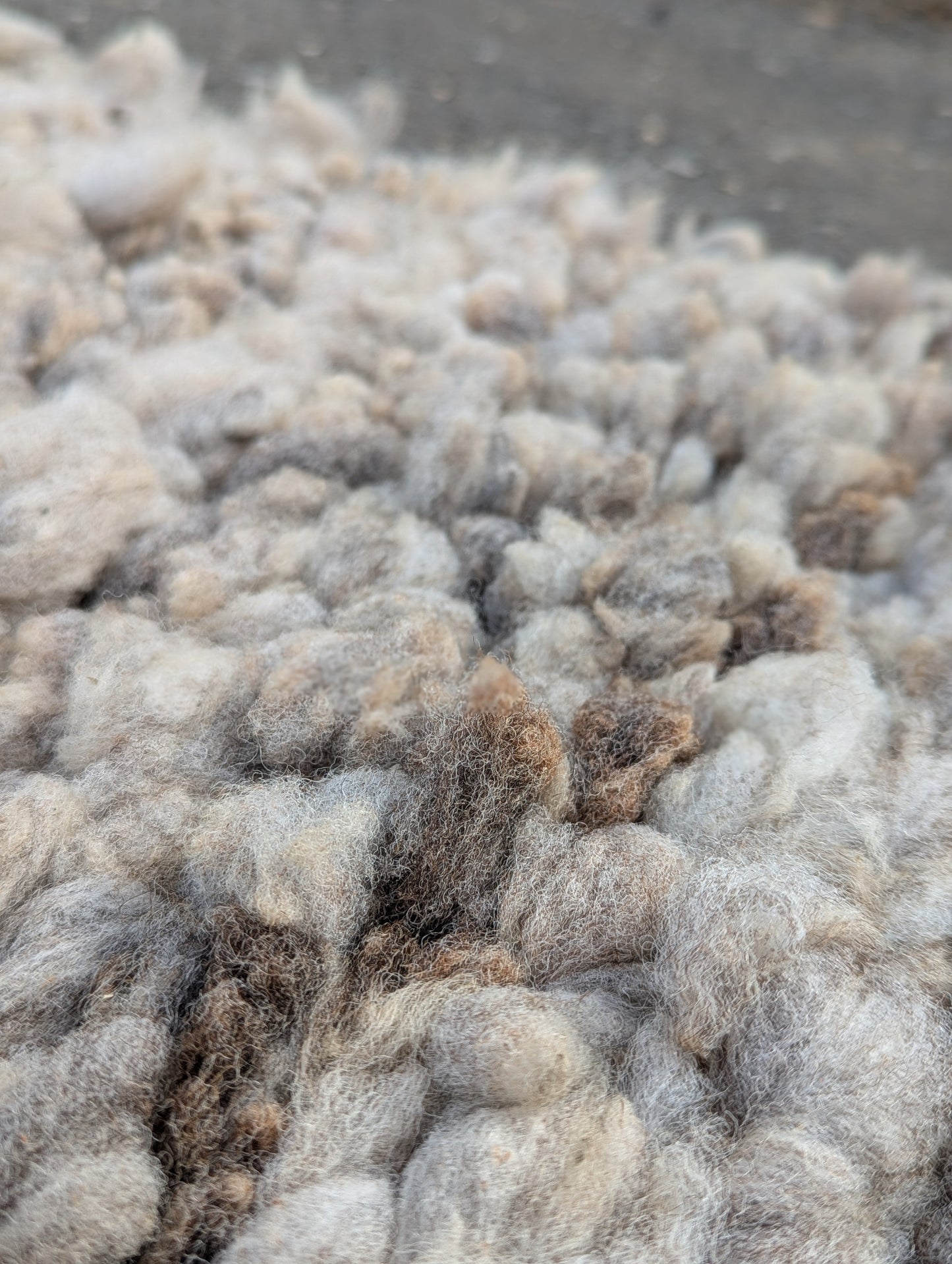 Peg Loom Sheep Wool Rug - Coloured Ryeland