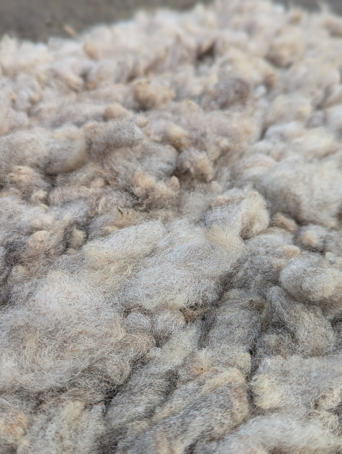 Peg Loom Sheep Wool Rug - Coloured Ryeland