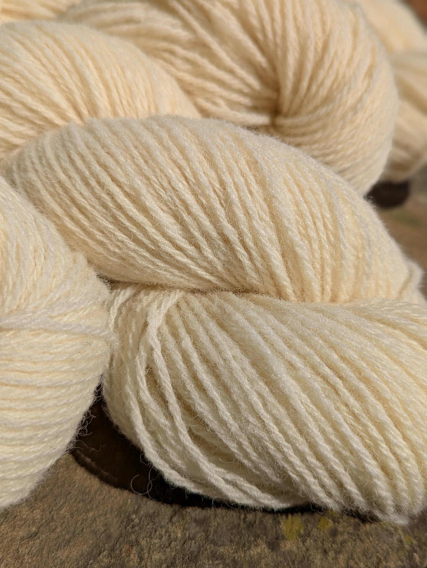 Whitefaced Woodland Wool Yarn