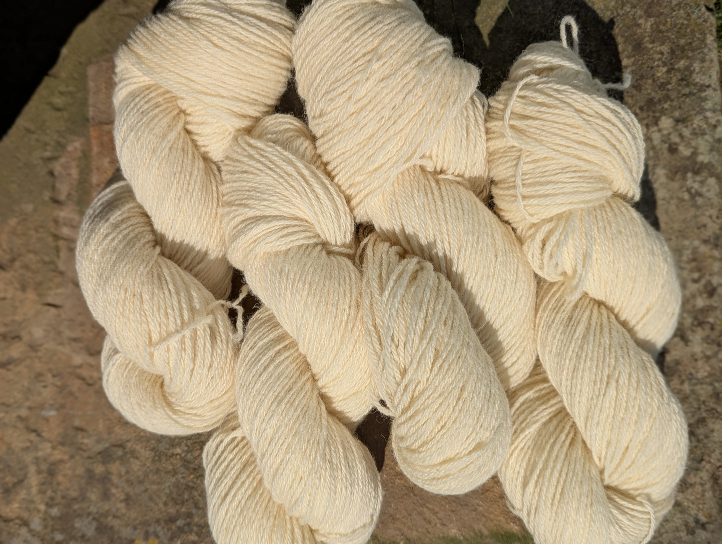 Whitefaced Woodland Wool Yarn