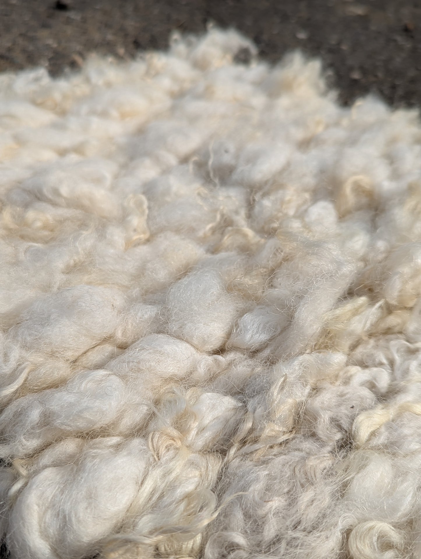 Peg Loom Sheep Wool Rug Runner - Valais Blacknose