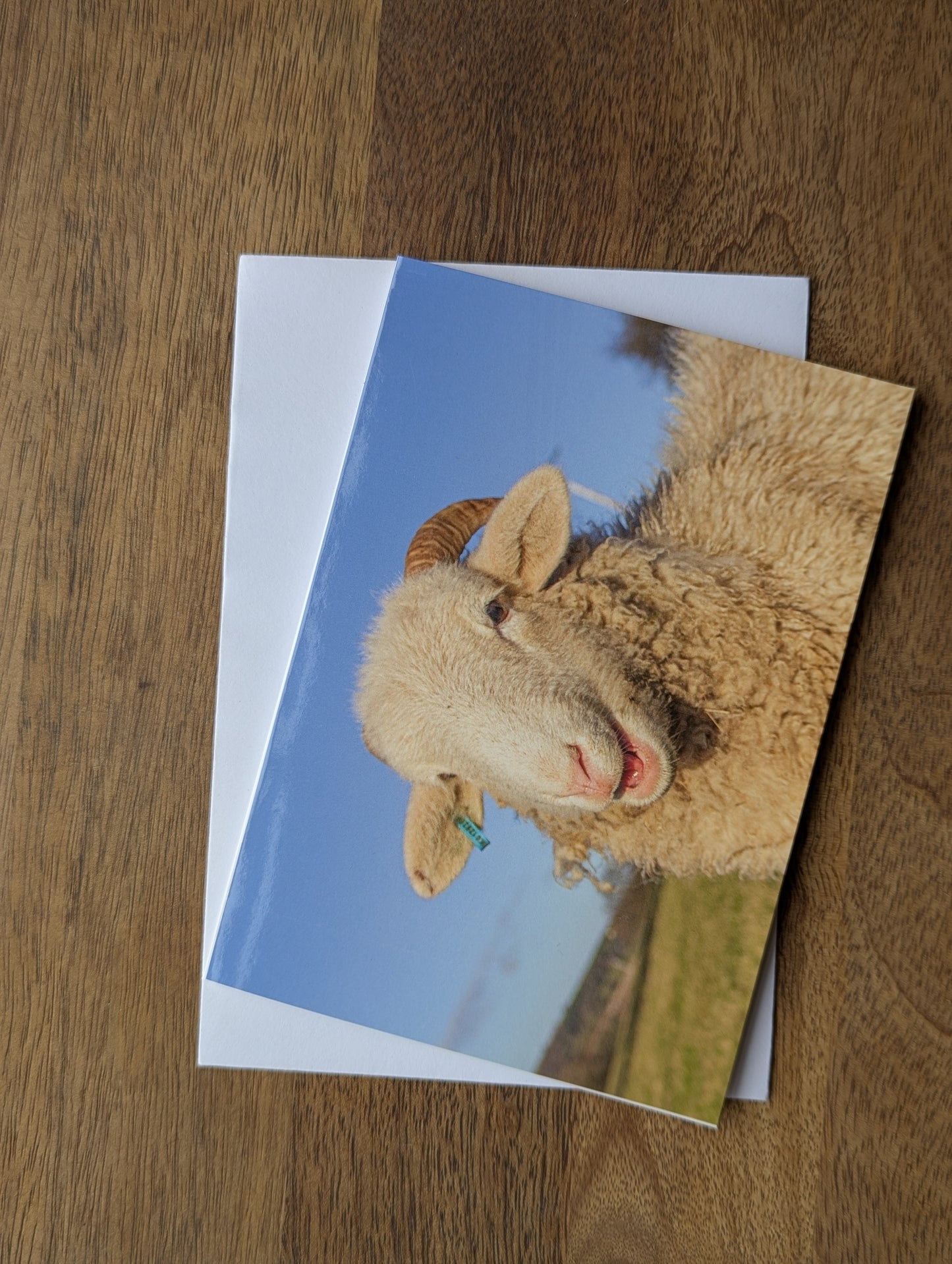 Printed Sheep Card