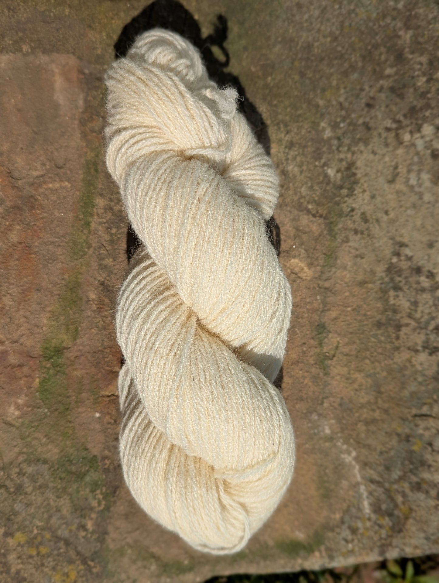 Whitefaced Woodland Wool Yarn